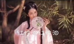 红伶泪在线观看电视剧,悲情戏子泪洒舞台，揭秘梨园风云